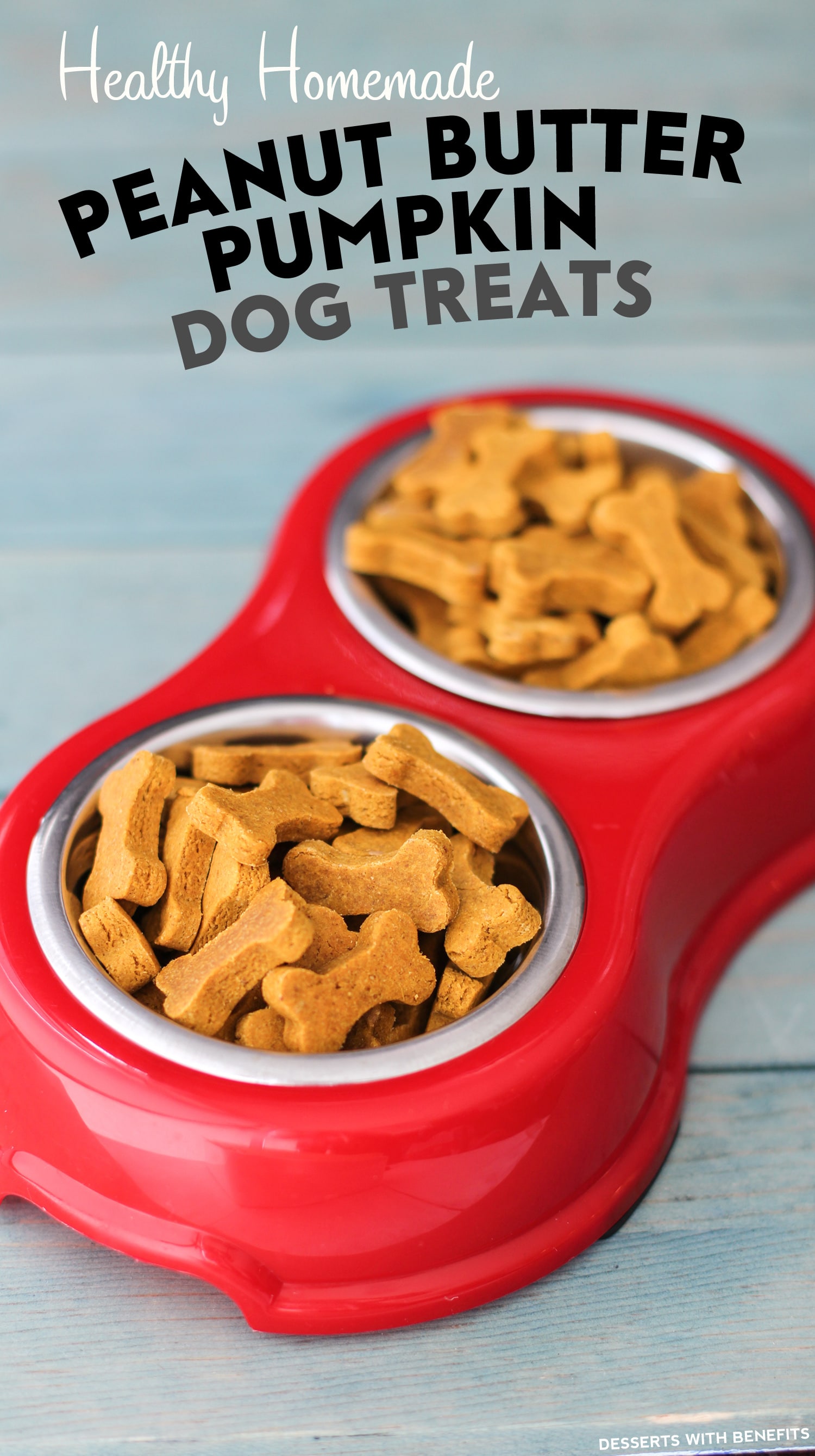 Healthy Homemade Peanut Butter Pumpkin Dog Treats