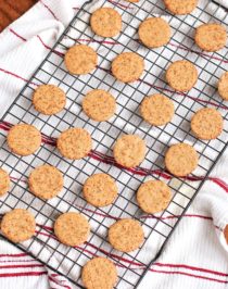 Healthy Graham Crackers - Desserts With Benefits