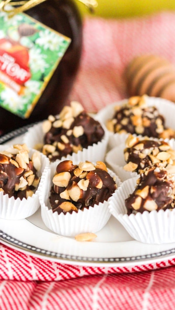 BiteSized Peanut ChocolateCovered Treats Recipe