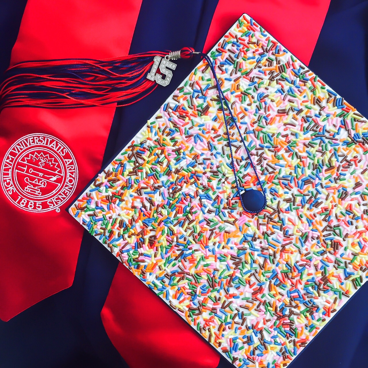 Blogger Business Goals: From Student to Blogger to Author to... what's next? -- The Desserts With Benefits Blog, Jessica's Graduation Cap