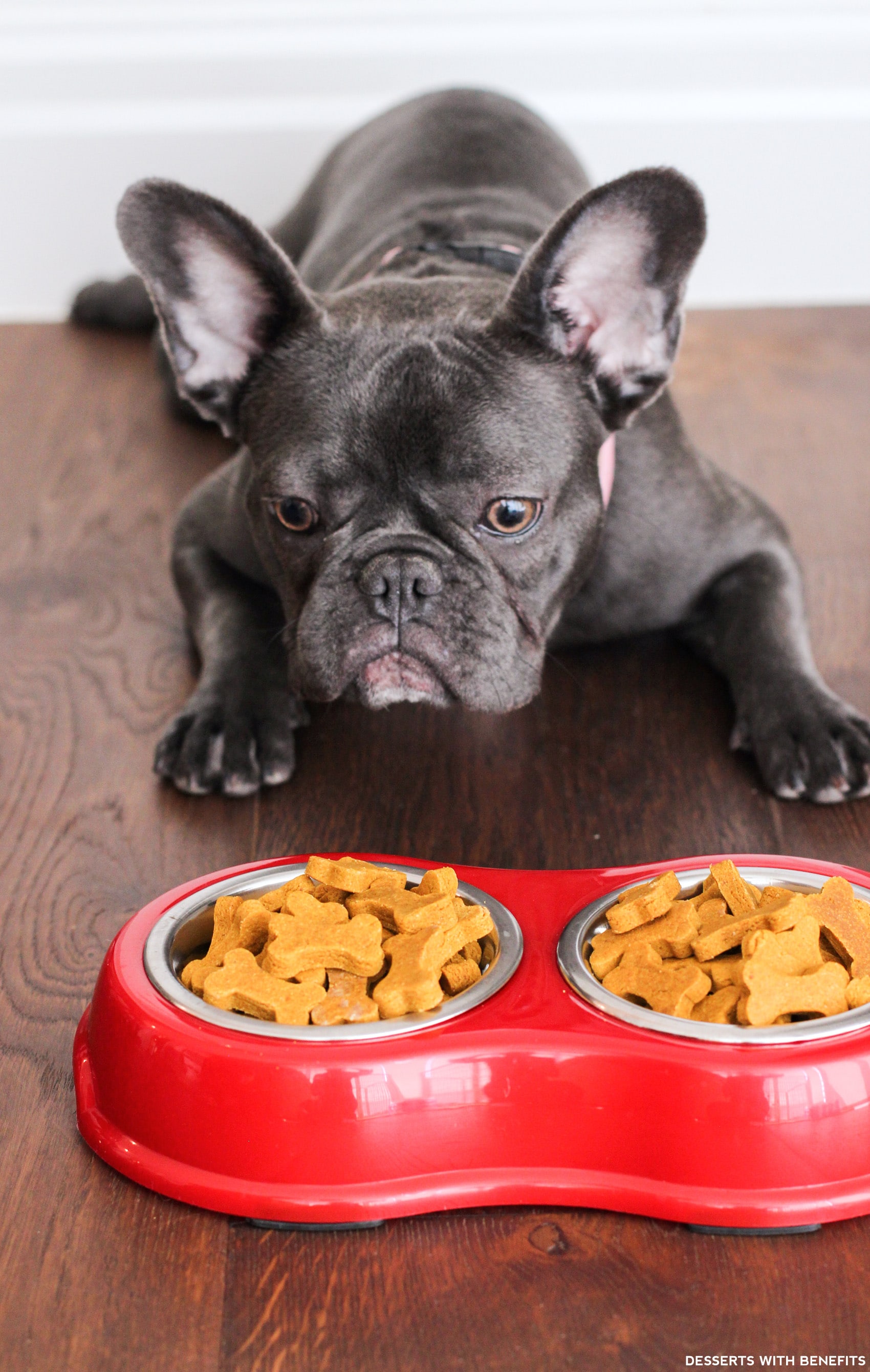 Healthy Homemade Peanut Butter Pumpkin Dog Treats (sugar free, gluten free, dairy free, eggless, vegan) - Healthy Dessert Recipes at Desserts with Benefits