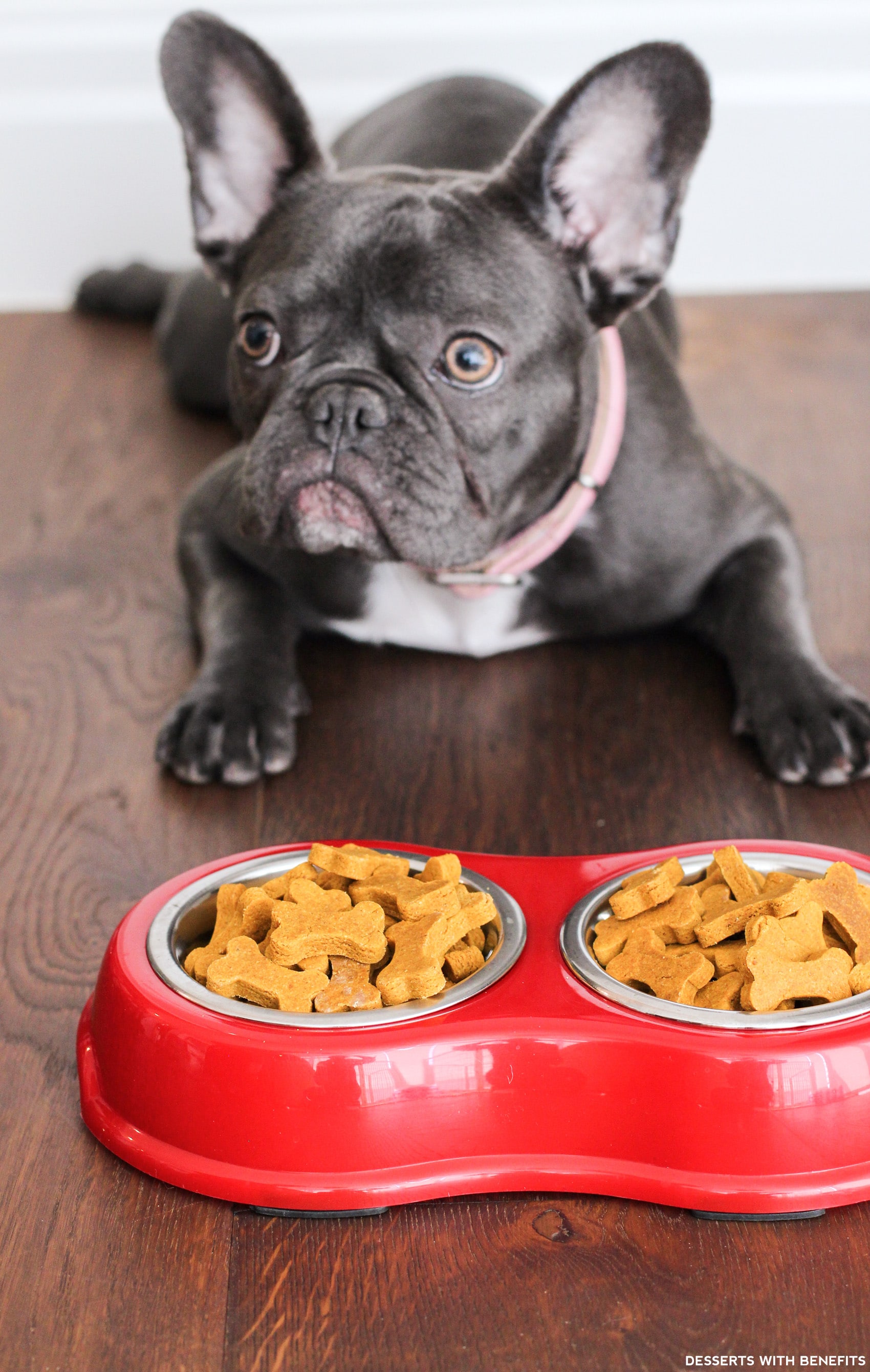 Healthy Homemade Peanut Butter Pumpkin Dog Treats (sugar free, gluten free, dairy free, eggless, vegan) - Healthy Dessert Recipes at Desserts with Benefits