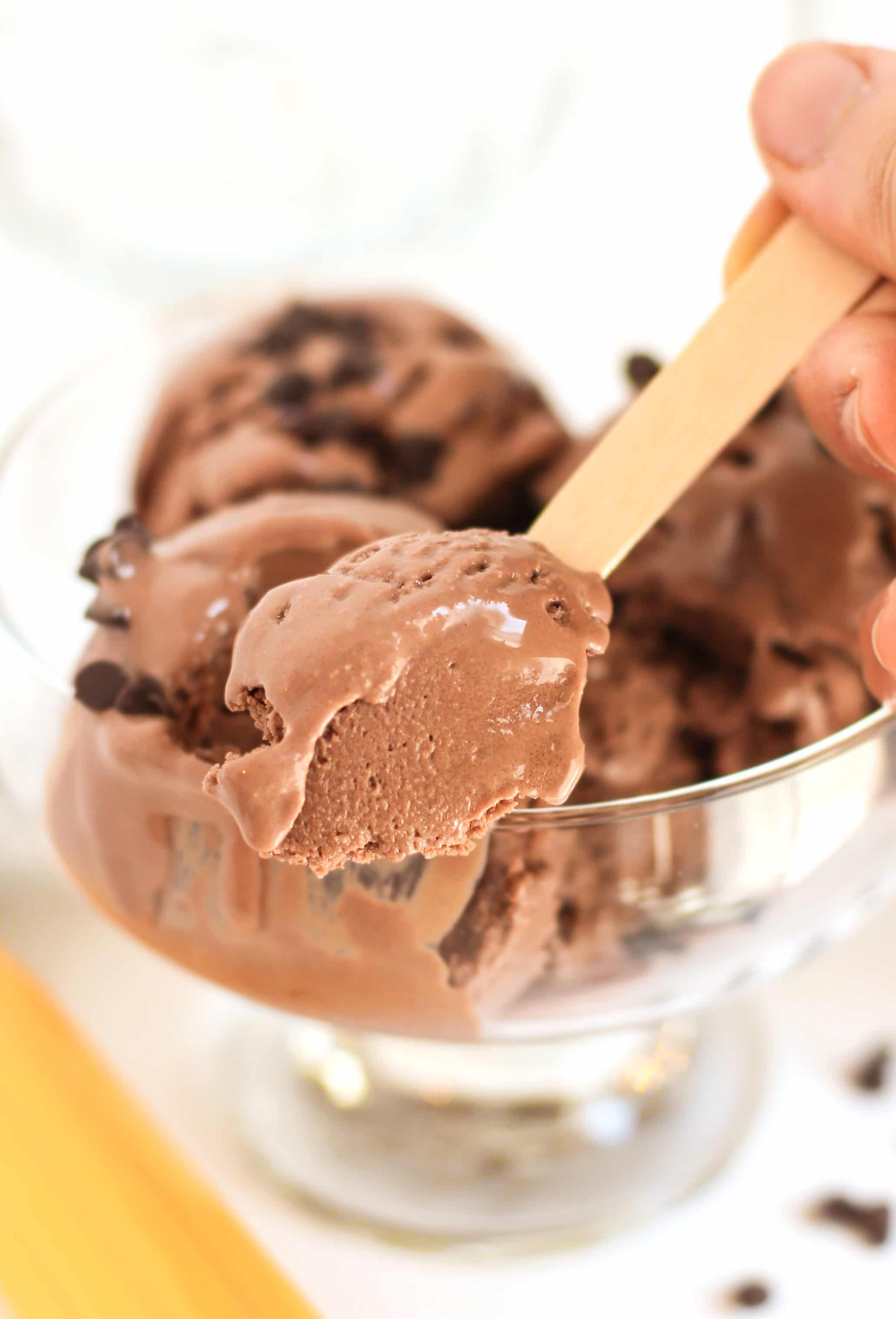 Healthy Sugar-Free Double Chocolate Protein Frozen Yogurt Recipe