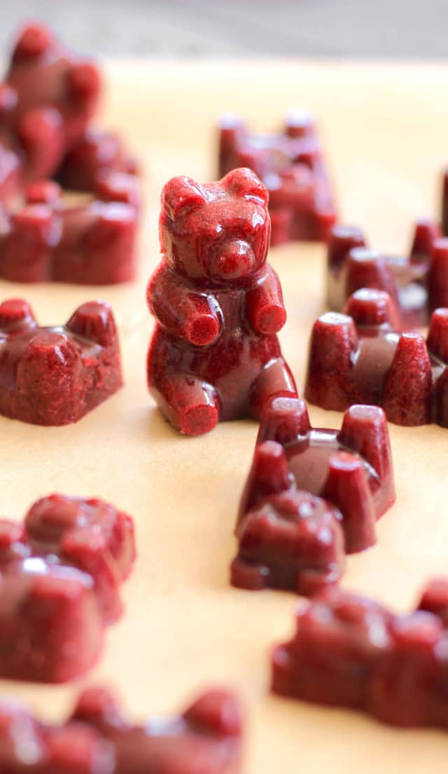 Healthy Cherry Fruit Snacks Recipe | no sugar added, paleo, gluten free