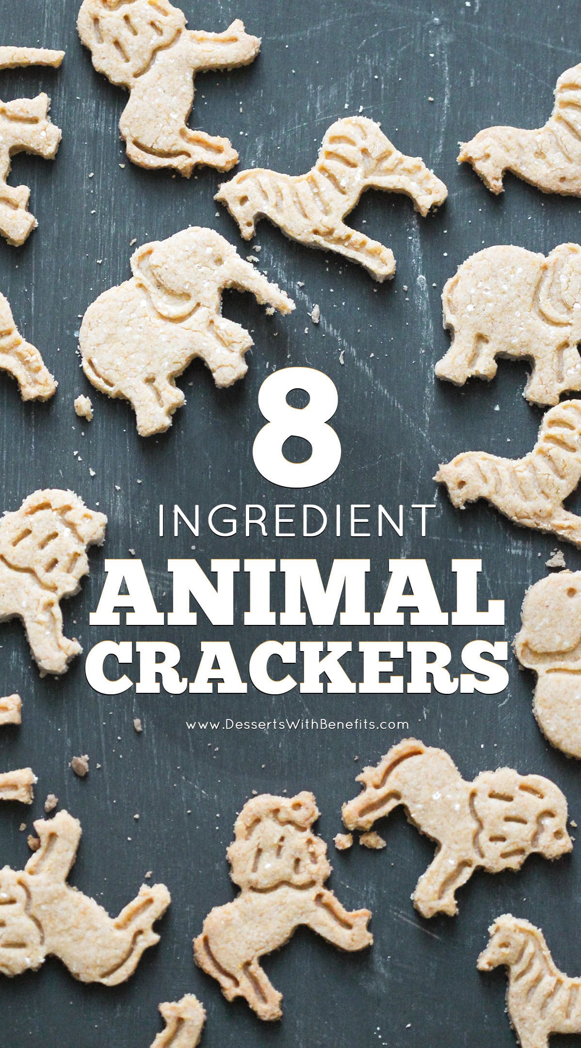 These simple and easy 8-ingredient Healthy Homemade Animal Crackers are the ultimate snack! They’re simple, yet addicting. They’re not overly sweet, yet still totally delicious. You’d never know these DIY animal crackers are whole grain, sugar free, gluten free, dairy free, and vegan! -- Healthy Dessert Recipes at Desserts with Benefits