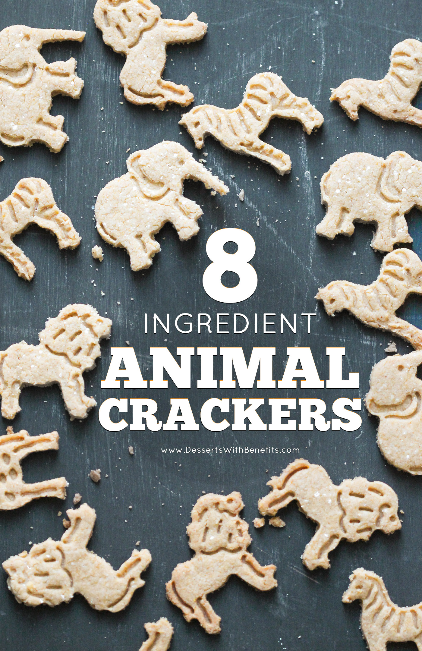 Healthy Homemade Animal Crackers Recipe | Desserts With Benefits