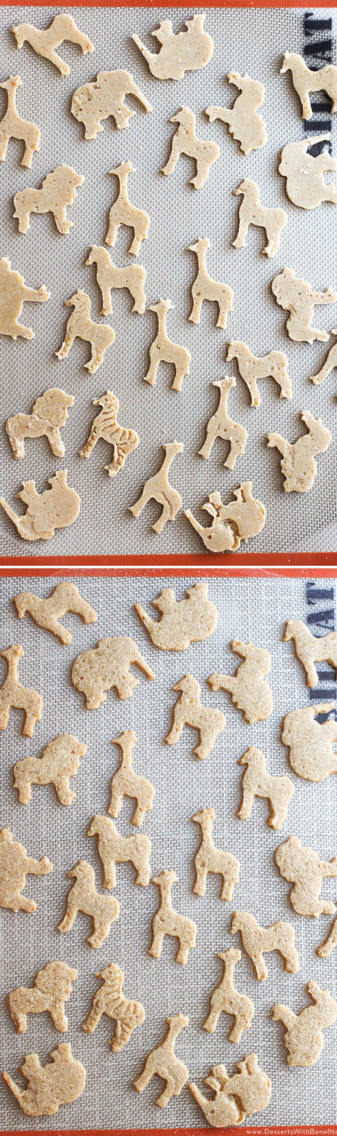 These simple and easy 8-ingredient Healthy Homemade Animal Crackers are the ultimate snack! They’re simple, yet addicting. They’re not overly sweet, yet still totally delicious. You’d never know these DIY animal crackers are whole grain, sugar free, gluten free, dairy free, and vegan! -- Healthy Dessert Recipes at Desserts with Benefits