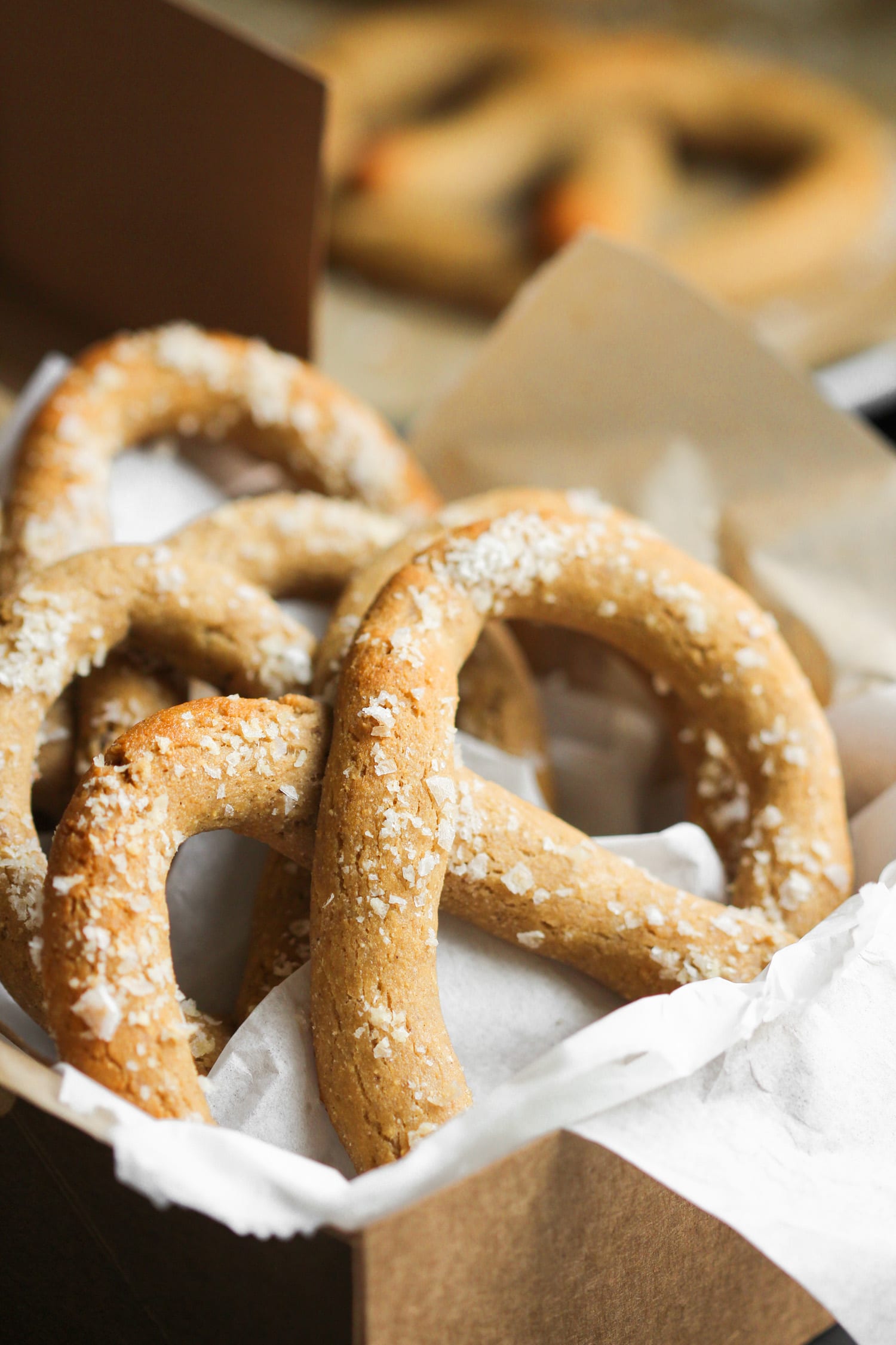 These Healthy Low Carb and Gluten Free Soft Pretzels are so delicious, you'll never believe they're sugar free, high protein, and high in fiber! These Gluten Free Pretzels taste like pure sin, but they're sinlessly delicious! Healthy Dessert Recipes with low calorie, low fat, dairy free, and vegan options at the Desserts With Benefits Blog (www.DessertsWithBenefits.com)