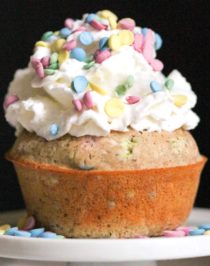 Craving Funfetti Cake but don't want all the calories, sugar, and artificial ingredients? Make these Healthy Funfetti Cupcakes! They’re all natural, sugar free, low fat, low calorie, and gluten free too. Yup, that means NO white sugar, white flour, artificial food dyes, or trans fats whatsoever. These light and fluffy cupcakes will blow your mind! -- Healthy Dessert Recipes with sugar free, low calorie, low fat, high protein, gluten free, dairy free, and vegan options at the Desserts With Benefits Blog (www.DessertsWithBenefits.com)