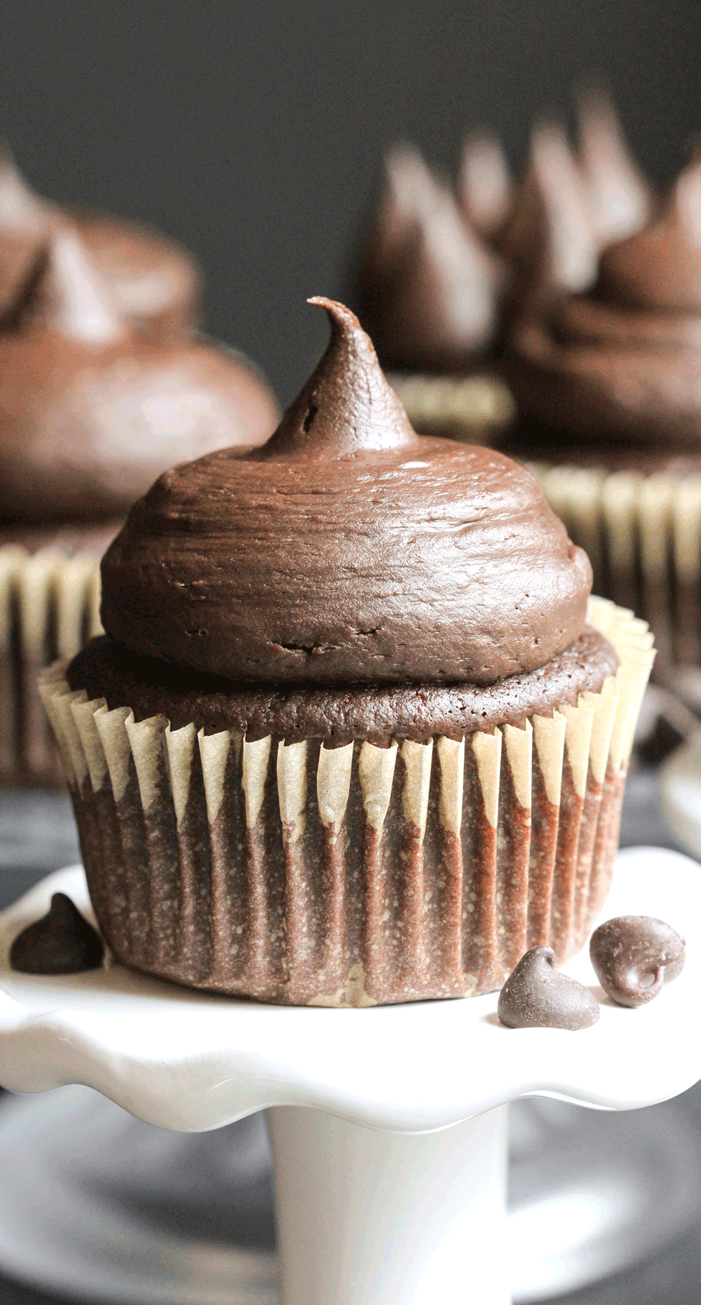 Healthy Gluten-Free Chocolate Cupcakes! Craving chocolate but don't want all the calories, fat, and sugar? Make these Gluten-Free Chocolate Cupcakes! They’re whole grain, gluten free, have no sugar added, and are made without butter or excess oil. Healthy Dessert Recipes with sugar free, low calorie, low fat, high protein, gluten free, dairy free, vegan, and raw options at the Desserts With Benefits Blog (www.DessertsWithBenefits.com)