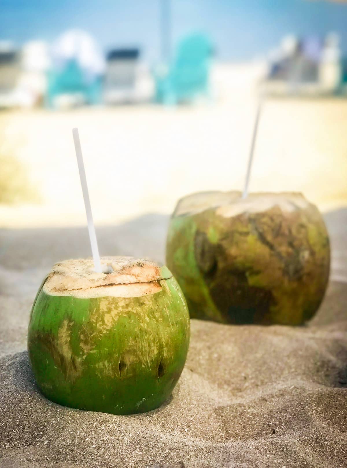 Fresh coconuts on the beach bar at Villa del Palmar at the Islands of Loreto. Looking for the BEST vacation destination to treat yourself? From a quiet getaway to soak up the sun or to enjoy your honeymoon, the Villa del Palmar at the Islands of Loreto, Mexico is one of those hidden gems you need to visit for yourself. This unique, affordable resort is packed with fun activities such as golfing, kayaking, paddle boarding, snorkeling, scuba diving, yoga, dancing, whale watching, and fishing. Whatever you’re looking for in your upcoming getaway, Villa del Palmar offers it!