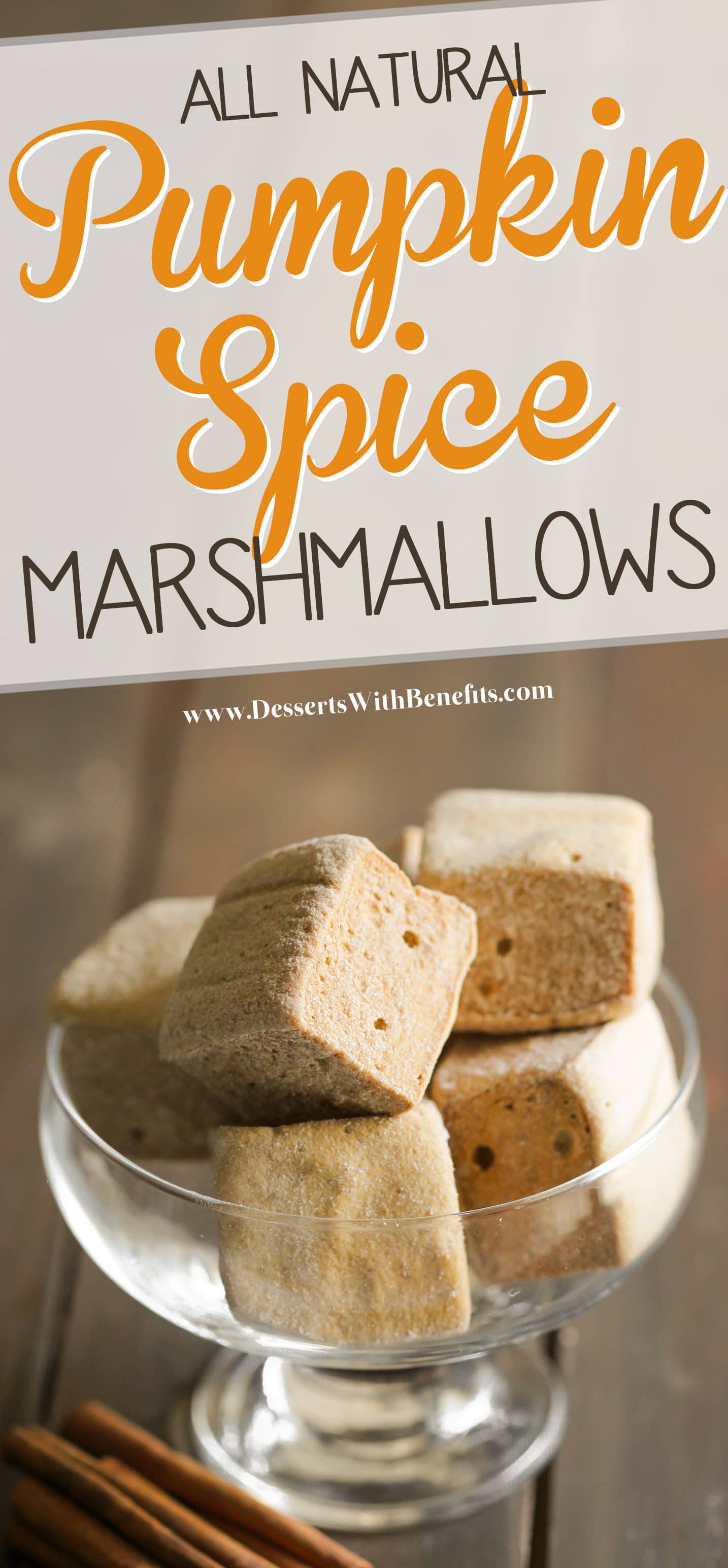 These Healthy Homemade Pumpkin Spice Marshmallows are the fluffiest, most flavorful, and FUN mallows I've ever made! Delicious and packed with spices, such as cinnamon, ginger, and nutmeg. You'll never believe these are refined sugar free, fat free, gluten free, and all natural! Healthy Dessert Recipes at the Desserts With Benefits Blog (www.DessertsWithBenefits.com)