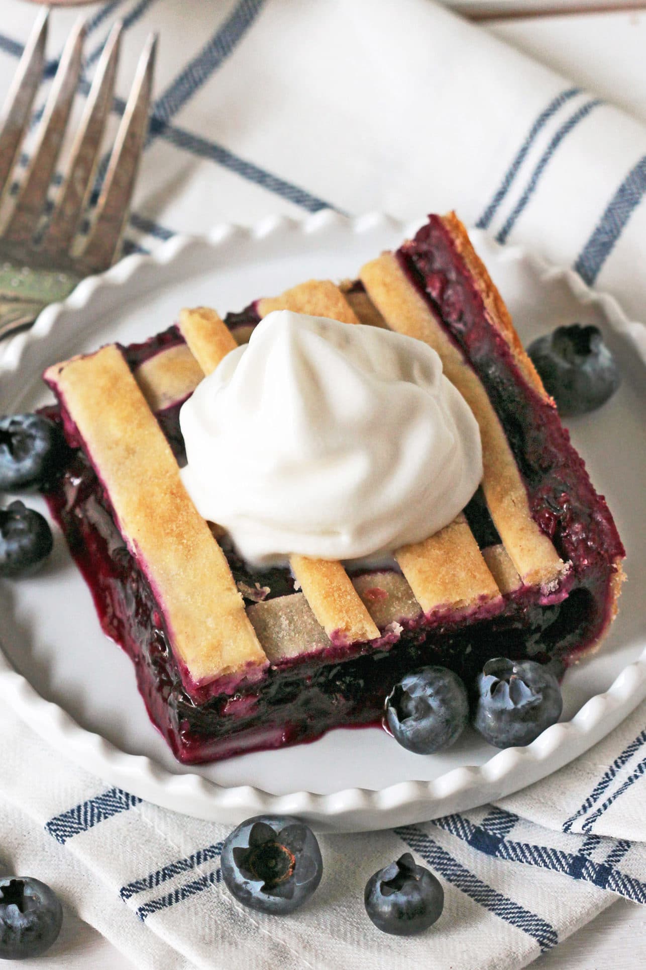 These 5-ingredient Blueberry Lattice Bars are a guaranteed crowdpleaser! Bursting with sweet, fresh blueberry flavor, plus a buttery pie crust, you'd never know they're vegan, low fat, contain no added sugar, and are totally guilt free! Healthy Dessert Recipes with sugar free, low calorie, low carb, high protein, and gluten free options at the Desserts With Benefits Blog (www.DessertsWithBenefits.com)