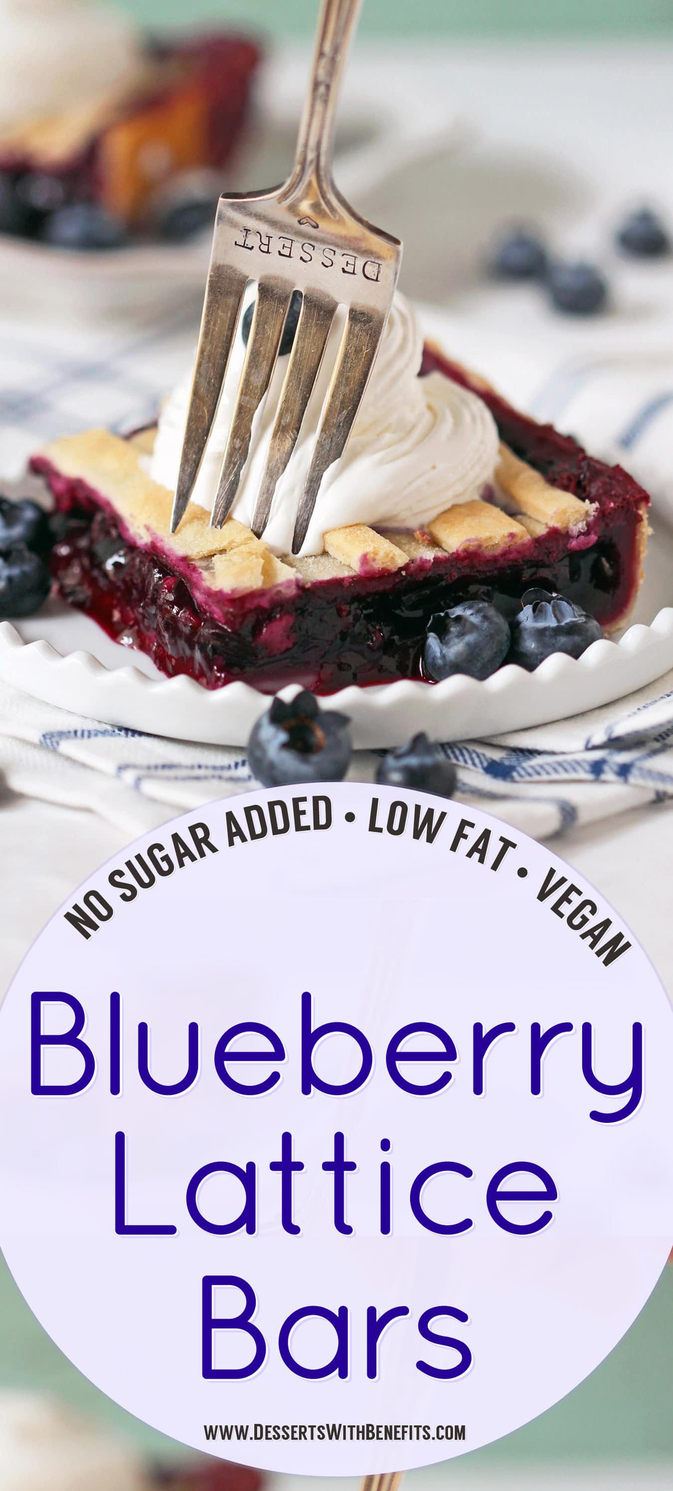 These 5-ingredient Blueberry Lattice Bars are a guaranteed crowdpleaser! Bursting with sweet, fresh blueberry flavor, plus a buttery pie crust, you'd never know they're vegan, low fat, contain no added sugar, and are totally guilt free! Healthy Dessert Recipes with sugar free, low calorie, low carb, high protein, and gluten free options at the Desserts With Benefits Blog (www.DessertsWithBenefits.com)