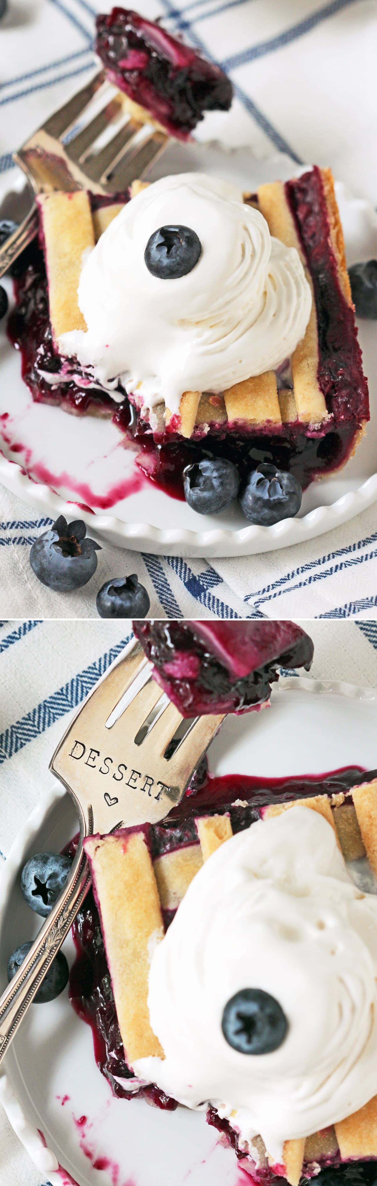 These 5-ingredient Blueberry Lattice Bars are a guaranteed crowdpleaser! Bursting with sweet, fresh blueberry flavor, plus a buttery pie crust, you'd never know they're vegan, low fat, contain no added sugar, and are totally guilt free! Healthy Dessert Recipes with sugar free, low calorie, low carb, high protein, and gluten free options at the Desserts With Benefits Blog (www.DessertsWithBenefits.com)