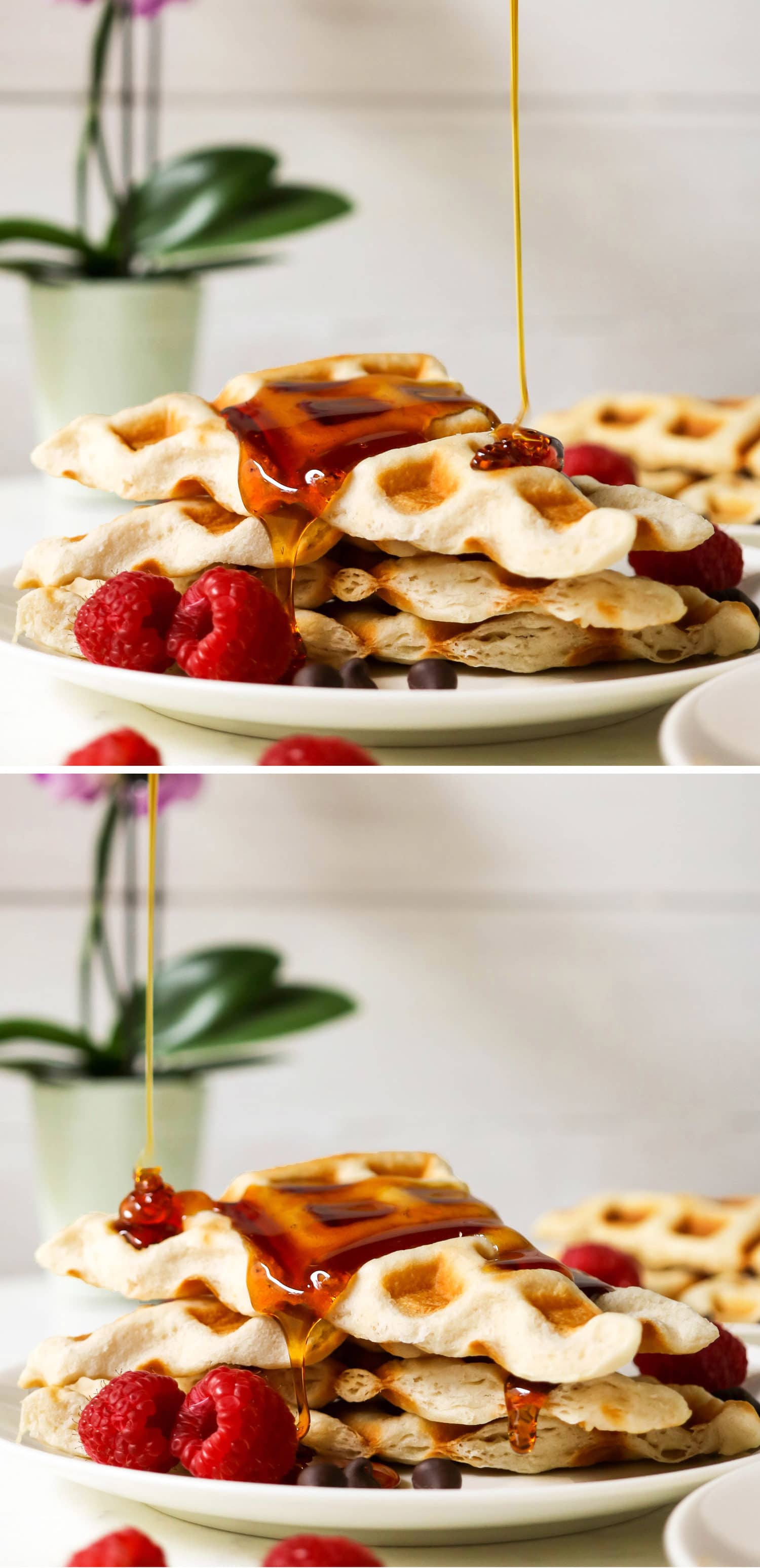 Easy Crescent Waffles - low sugar, low fat, dairy free, and vegan, with just 90 calories each! Healthy dessert recipes at the Desserts With Benefits Blog (www.DessertsWithBenefits.com)